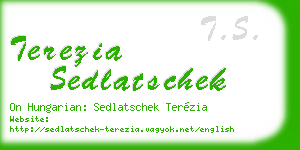 terezia sedlatschek business card