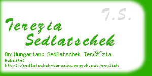 terezia sedlatschek business card